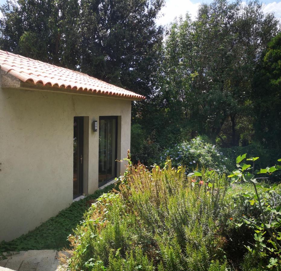 Villa Griseor Porto-Vecchio  Exterior foto